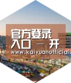 开元官网深耕渠道 占领市场