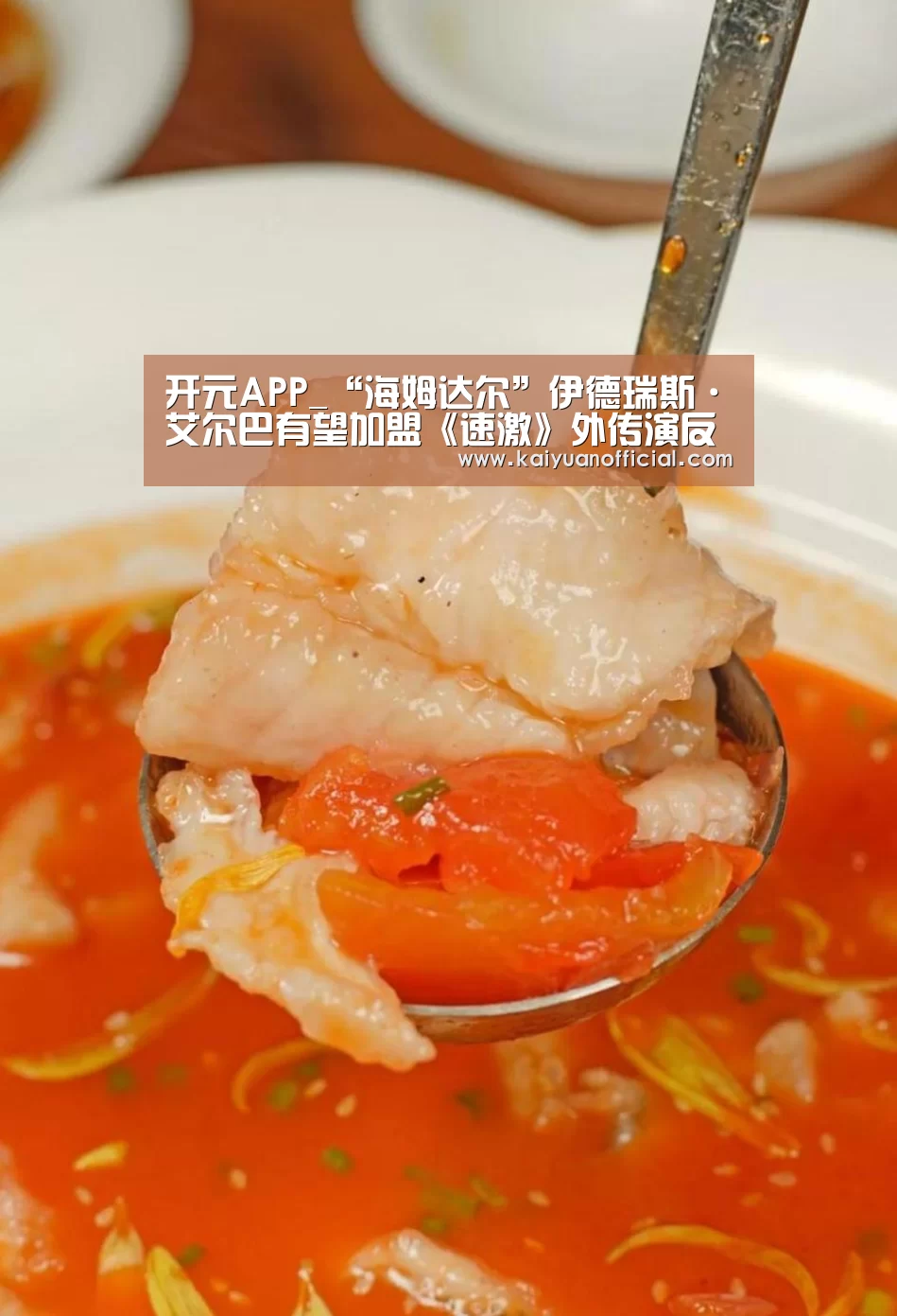 开元APP_“海姆达尔”伊德瑞斯·艾尔巴有望加盟《速激》外传演反派